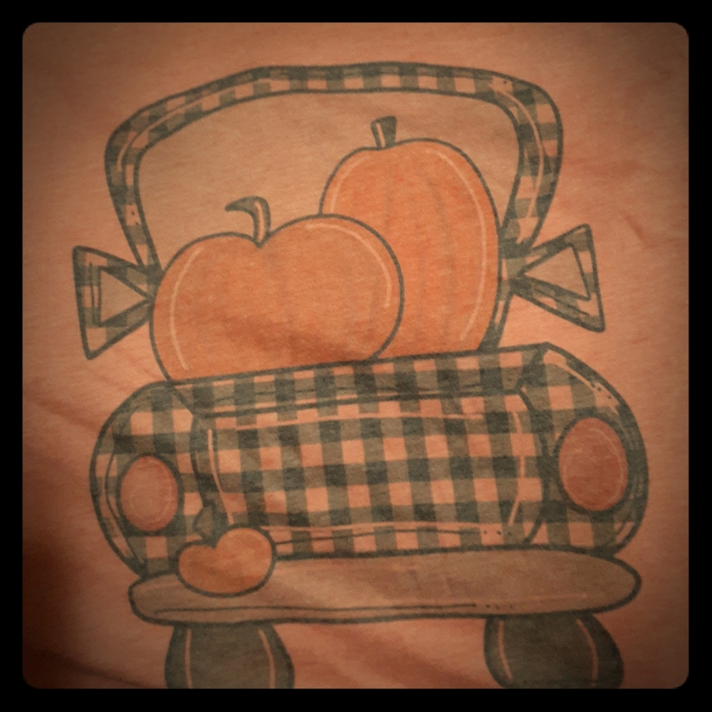 Super soft Fall tshirt Pumpkin 3x